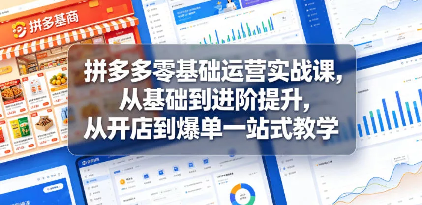 拼多多零基础运营实战课，从基础到进阶提升，从开店到爆单一站式教学-33资源网