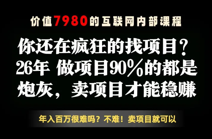 26年请不要疯狂的找项目了，卖项目远比你想象的暴利，你也可以月入10W+【揭秘】-33资源网