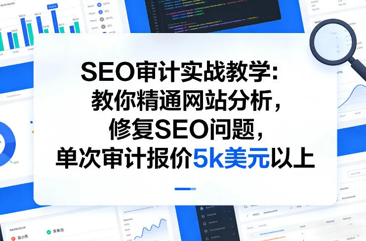 SEO审计实战教学：教你精通网站分析，修复SEO问题，单次审计报价5k美元以上-33资源网