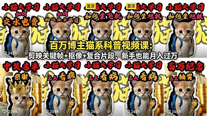 百万博主猫系科普视频课：剪映关键帧+抠像+复合片段，新手也能月入过万-33资源网