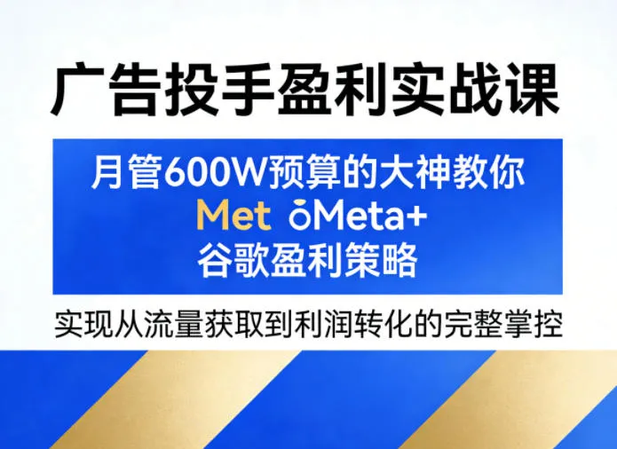 广告投手盈利实战课，月管600W预算的大神教你Meta+谷歌盈利策略，实现从流量获取到利润转化的完整掌控-33资源网