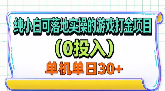 纯小白可落地实操的游戏打金项目(0投入)单机单号30+-33资源网