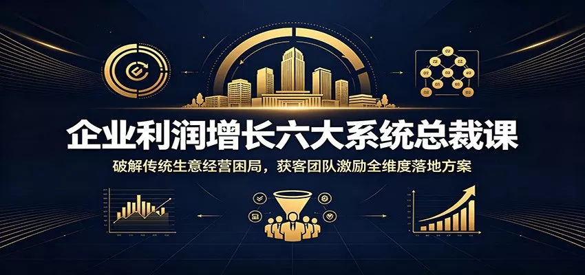 企业利润增长六大系统总裁课：破解传统生意经营困局，获客团队激励全维度落地方案-33资源网