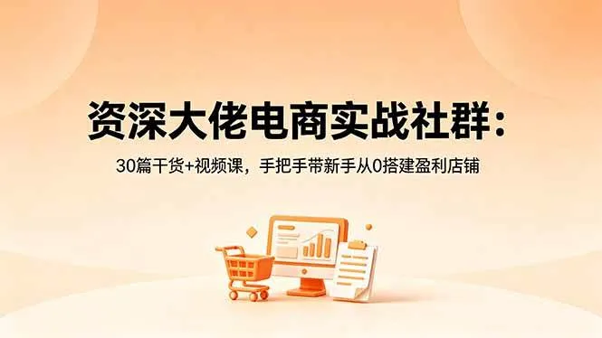 （18529期）资深大佬电商实战社群：30篇干货+视频课，手把手带新手从0搭建盈利店铺-33资源网