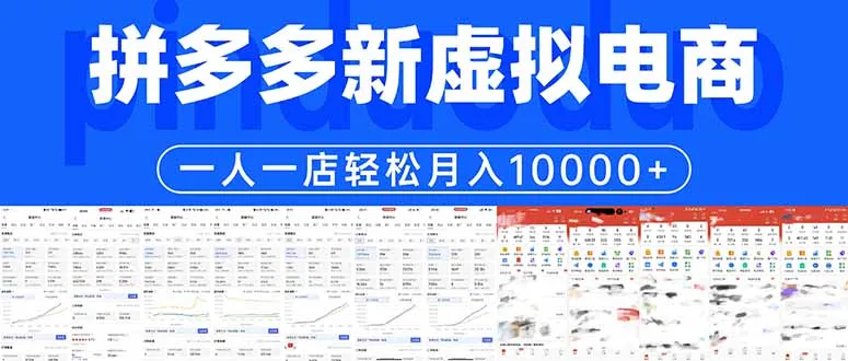拼多多虚拟电商一人一店轻松月入10000+-33资源网