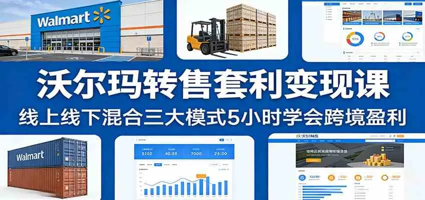 沃尔玛转售套利变现课：线上线下混合三大模式5小时学会跨境盈利-33资源网