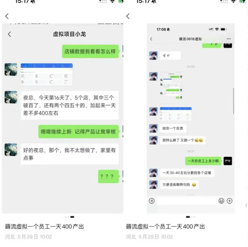 薅流虚拟2.0陪跑课,0成本AI流程化操作,淘宝+闲鱼同步玩法,上一次货两个平台有收益,单店每天200纯利润-33资源网