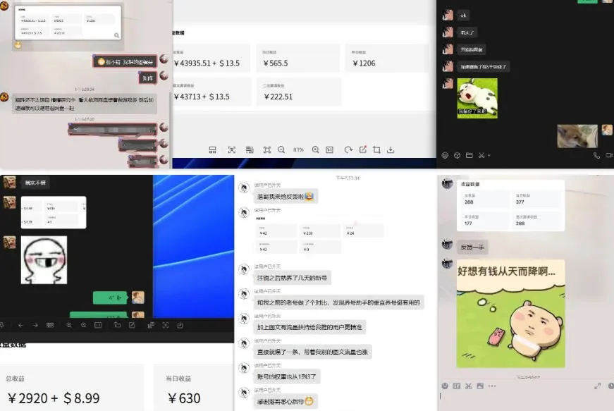 雷神加速器项目模拟器_无脑1分钟1条视频矩阵_疯狂报单打法【焚诀】-33资源网