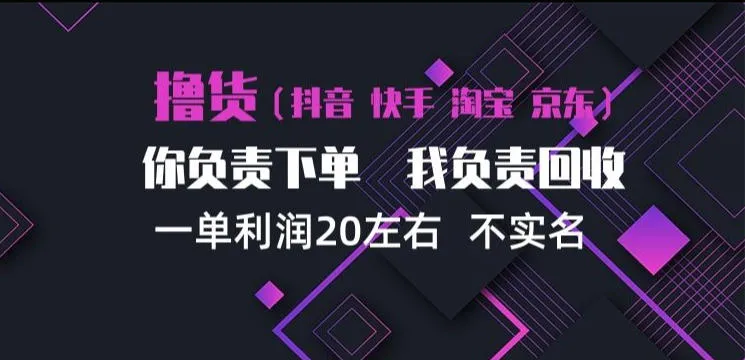 抖音淘宝快手买手项目，一单利润20左右，单号每天下三单，可矩阵【揭秘】-33资源网