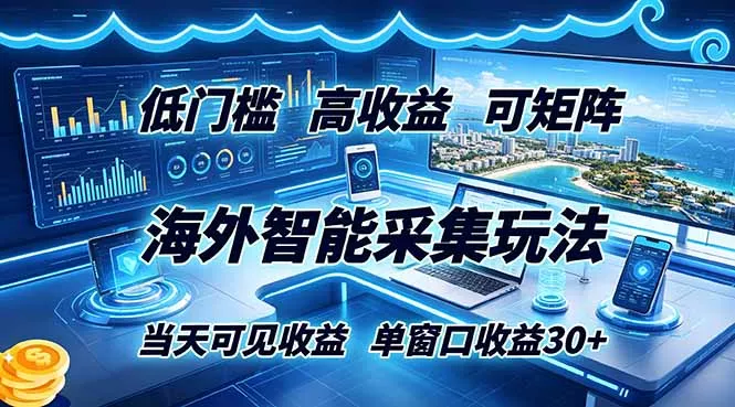 海外智能采集玩法,低门槛高单价可矩阵,当天可见收益,单窗口30+-33资源网