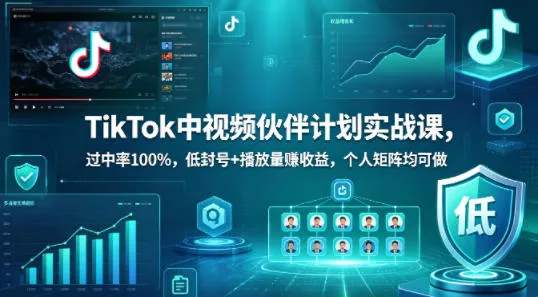 TikTok中视频伙伴计划实战课，过中率100%，低封号+播放量賺收益，个人矩阵均可做-33资源网
