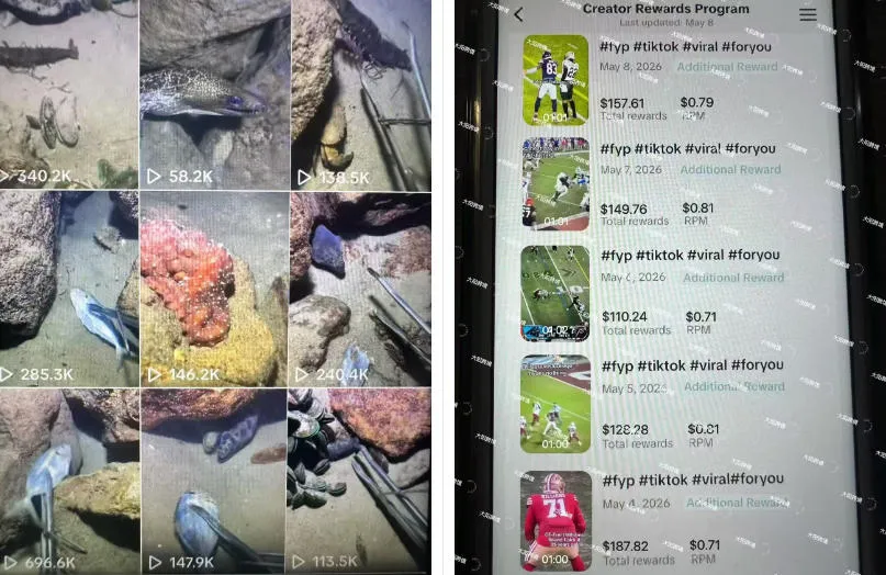 Tiktok中视频解说教程,体育+温情文案双赛道实操教程一站式带你落地,教你出海賺美刀-33资源网