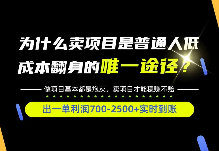 普通人如何靠互联网賺取自己的第一桶金!全类目实操型教学,看完你全都懂了!【揭秘】-33资源网