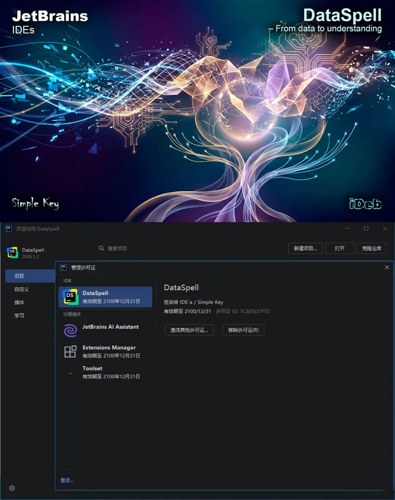 DataSpell v2026.1.2 直装特别版-33资源网
