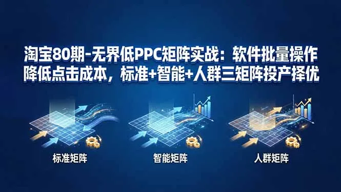 淘宝80期-无界低PPC矩阵实战：软件批量操作降低点击成本，标准+智能+人群三矩阵投产择优-33资源网