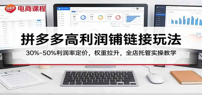 拼多多高利润铺链接玩法：30%–50%利润率定价，权重拉升，全店托管实操教学-33资源网