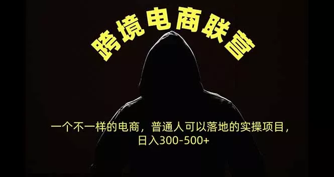 跨境电商联营，一个不一样的电商，普通人可操作日入300-500+-33资源网