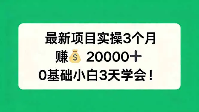 最新项目实操3个月，赚钱20000+，0基础小白3天学会！-33资源网