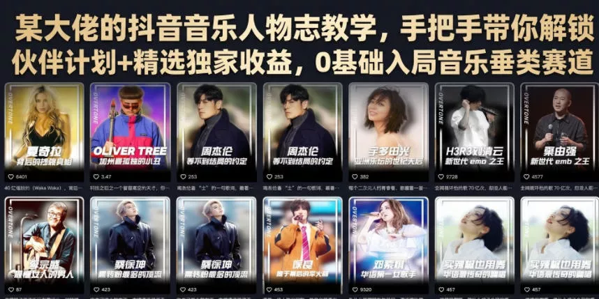 某大佬的抖音音乐人物志教学,手把手带你解锁伙伴计划+精选独家收益,0基础入局音乐垂类赛道-33资源网