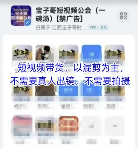 宝子哥头部团队短视频带货，以混剪为主，不需要真人出镜，不需要拍摄【更新26年3月】-33资源网