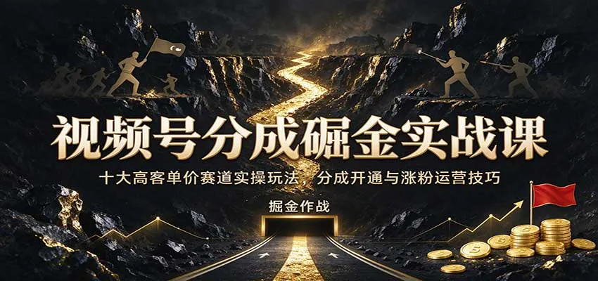 视频号分成掘金实战课:十大高客单价赛道实操玩法,分成开通与涨粉运营技巧-33资源网